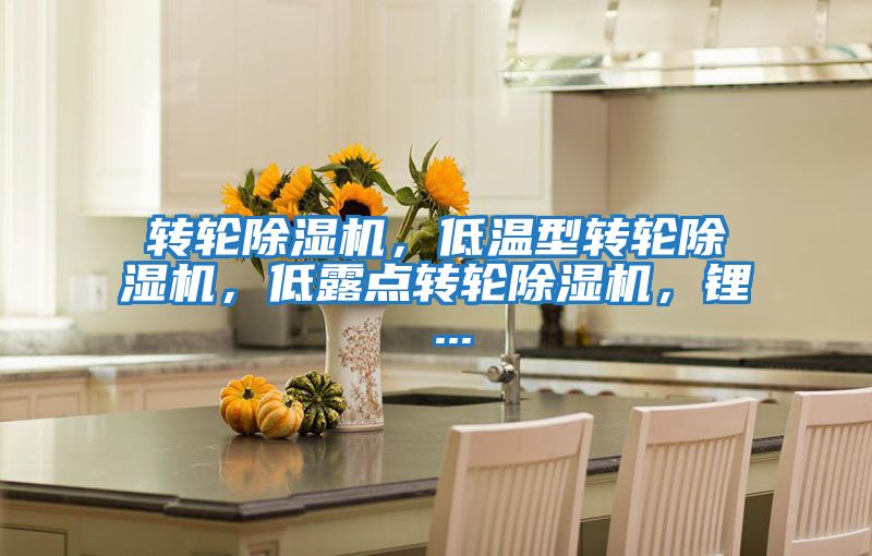 轉輪除濕機，低溫型轉輪除濕機，低露點轉輪除濕機，鋰 ...