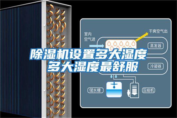 除濕機設(shè)置多大濕度 多大濕度最舒服