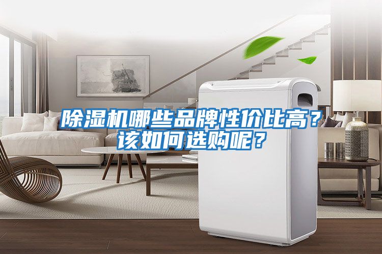 除濕機(jī)哪些品牌性價(jià)比高？該如何選購呢？