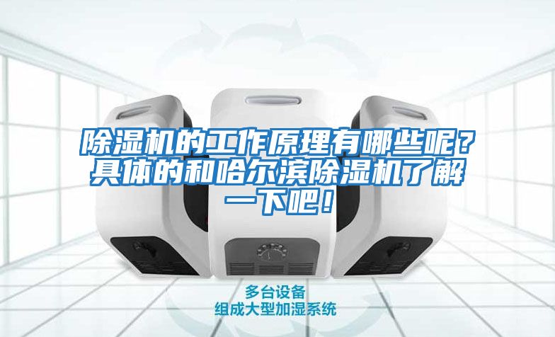 除濕機(jī)的工作原理有哪些呢？具體的和哈爾濱除濕機(jī)了解一下吧！