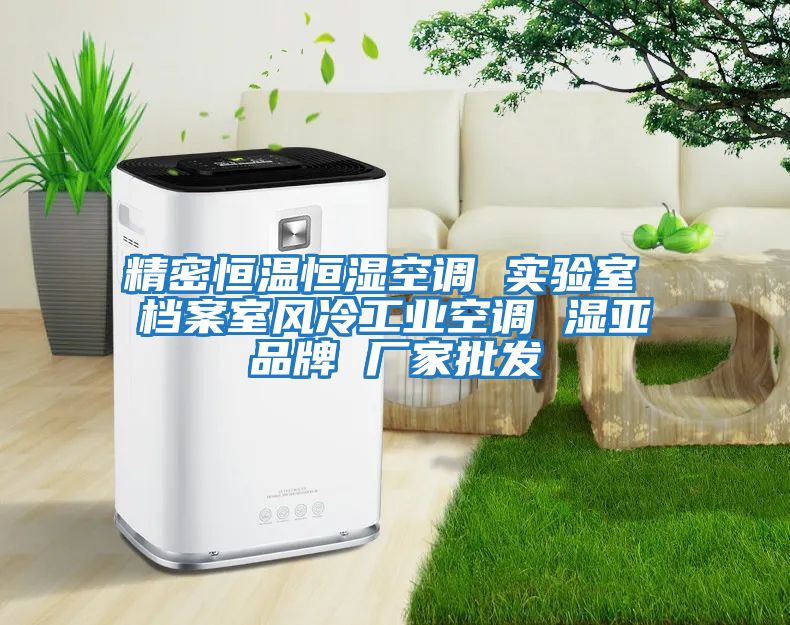 精密恒溫恒濕空調(diào) 實驗室 檔案室風冷工業(yè)空調(diào) 濕亞品牌 廠家批發(fā)