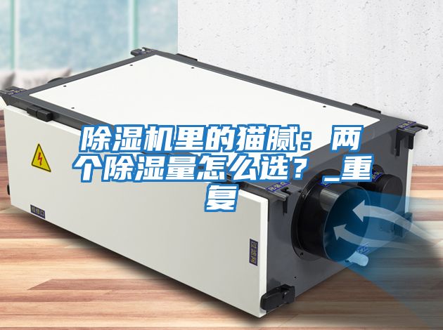 除濕機(jī)里的貓膩：兩個(gè)除濕量怎么選？_重復(fù)