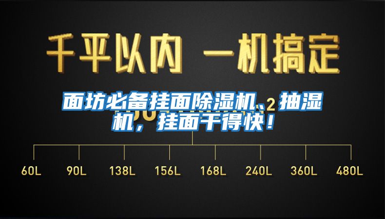 面坊必備掛面除濕機、抽濕機，掛面干得快！