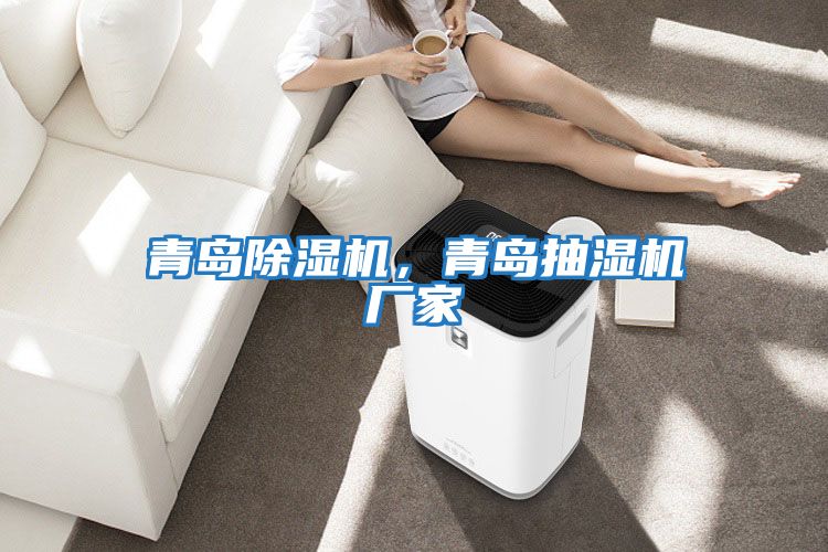 青島除濕機，青島抽濕機廠家